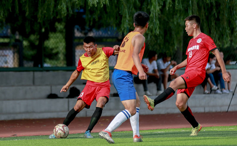 白衣下边是红衣，香港行期间一阿森纳球迷卧底在热刺球迷看台（白衣藏红衫：阿森纳球迷香港行混入热刺看台）